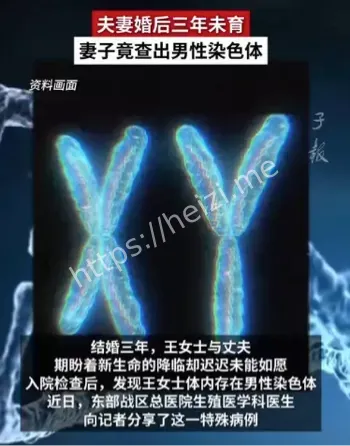 婚后不孕男性染色体异常